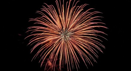 Fireworks burst against a black background