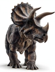 Triceratops on white background