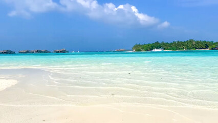 tropical beach with coconut trees