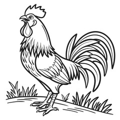 Rooster Coloring Page black and white coloring pages Illustration