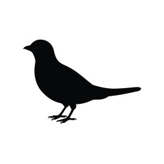 Obraz premium vector illustration of a bird