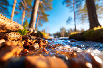 Fototapeta premium Dry conifer trunk against forest river stream panorama high resolution nature scene