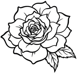 Single rose vector illustration isolated on white background floral design