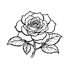 A beautiful vintage rose vector illustration with delicate leaves and pink blossoms, perfect for floral design patterns or seamless nature art decoration