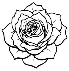 A pure white rose blossom with delicate petals, isolated on a stark black or clean white background, creating a beautiful floral art design
