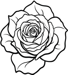Elegant white rose vector illustration isolated on black, perfect for floral design and vintage nature art
