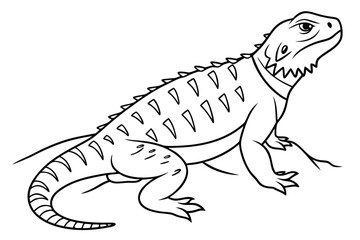 coloring page line art the uromastyx black vector