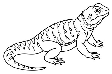 coloring page line art the uromastyx black vector