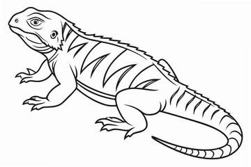 coloring page line art the uromastyx black vector
