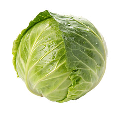 Fototapeta premium Crisp healthy organic green cabbage isolated on a transparent background png