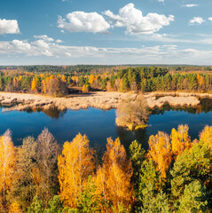 A gorgeous view from above of the lake surrounded by forest and shining golden birches. Wild and protected area of Scandinavia.
