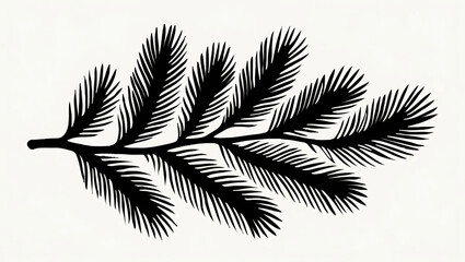 Fir Branch Silhouette Isolated on White

