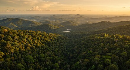 Fototapeta premium Endless Rainforest Hills Bathed in Golden Sunset's Hazy Glow