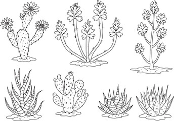 Diverse Desert Flora Outlines: A Botanical Collection of Cacti a