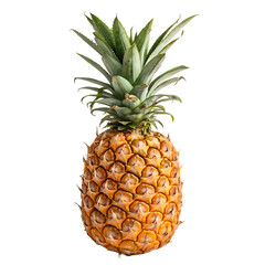 Fototapeta premium Whole fresh tropical pineapple fruit isolated on a transparent background png