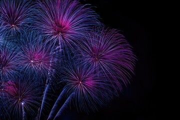 Vibrant purple and blue fireworks burst against a dark night sky