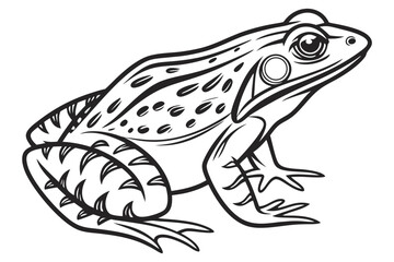 coloring page line art the frog black vector