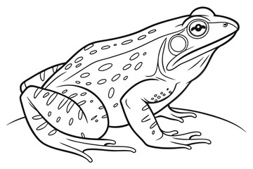 coloring page line art the frog black vector