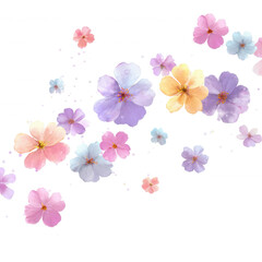 soft pastel flowers scattered with light spacing, isolated PNG