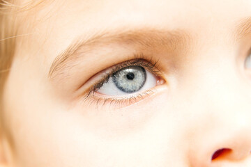 Obraz premium Close-up of a child's eye showcasing bright blue iris and detailed eyelashes, emphasizing the importance of vision health and eye care in pediatric ophthalmology and vision testing practices