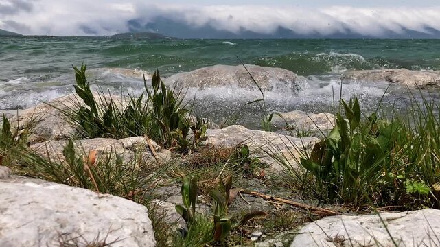 Lake shore, dramatic clouds, storm waves. Large rocks and plants line windswept 