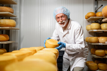 Craftsman producing high quality cheese. Worker in sterile cloth and hairnet checking ripening...