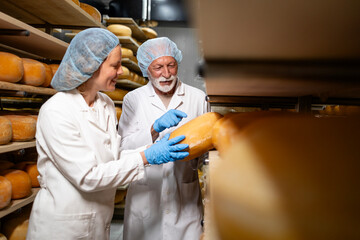 Cheese production and quality control. Food specialists discussing about cheese quality, colour and aging process assessing quality.