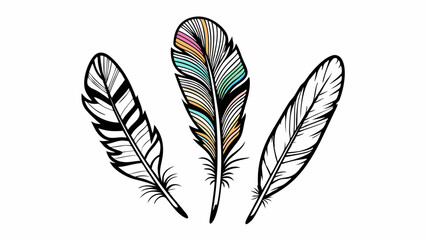 Set of three bird feathers in hand-drawn monochrome style with one colored element in the center, representing contrast, softness, and natural detail
