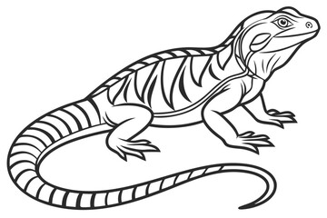 coloring page line art the iguana black vector