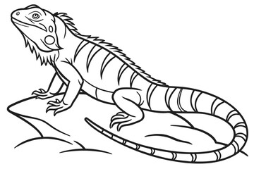 coloring page line art the iguana black vector