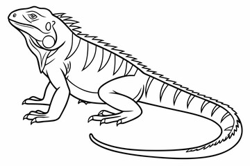 coloring page line art the iguana black vector