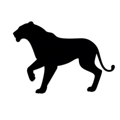 Obraz premium black panther vector silhoutte illustration 