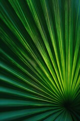 Obraz premium Close-up of a vibrant palm frond, radiating green hues, with a dynamic, radiating pattern