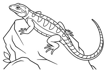 coloring page line art the monitor lizard black vector