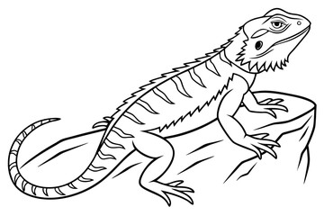 coloring page line art the lizard black vector
