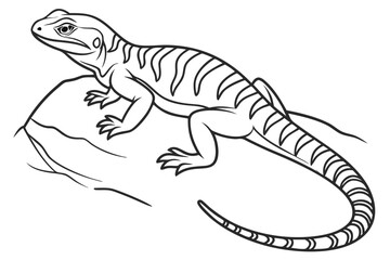 coloring page line art the lizard black vector