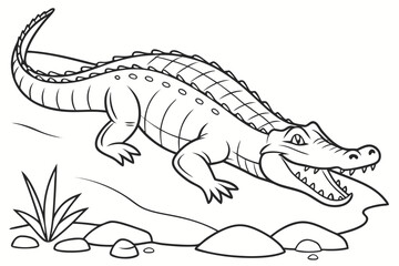 coloring page lineart the alligator black vector