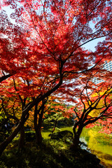 秋の散歩の途中で見つけた光景