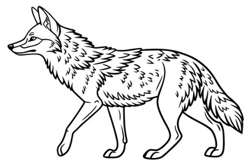 coloring page line art the jackal black vector