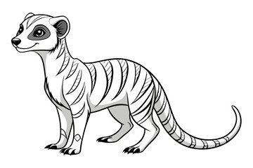 coloring page line art the meerkat black vector