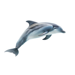 Full side profile of dolphin swimming underwater with streamlined body and gentle light reflections, clear water texture, real look, full view, on white background, 4k, unique, no blur, clear view