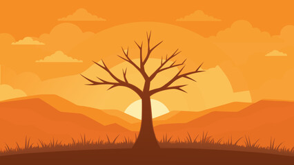 bare tree in grassy field sunset