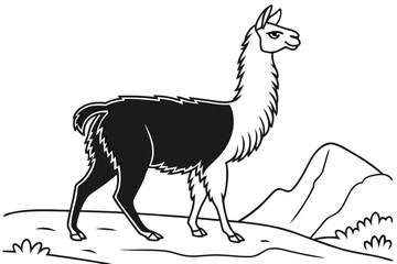 Fototapeta premium coloring page line art the alpaca black vector