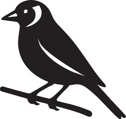 Obraz premium European Goldfinch Silhouette on Branch