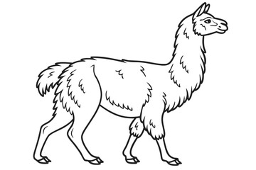 coloring page line art the alpaca black vector