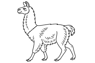 coloring page line art the llama black vector