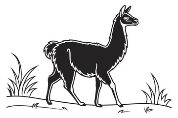 Fototapeta premium coloring page line art the llama black vector