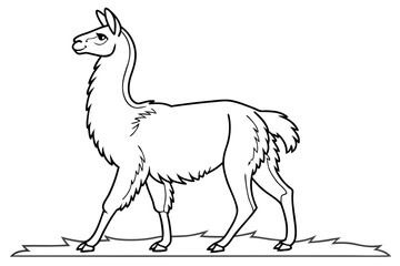 coloring page line art the llama black vector