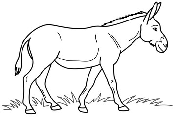 coloring page line art the mule black vector