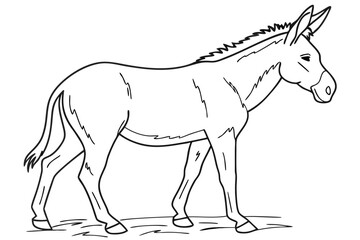 coloring page line art the mule black vector